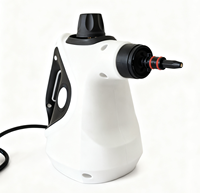 Nettoyeur Vapeur Électrique Portable pour Voiture 2500W, Contrôle par Application, Autonomie 45 Min, Pression Vapeur 3 Bars, Réservoir d'Eau 1-1.4L, Boîte Couleur