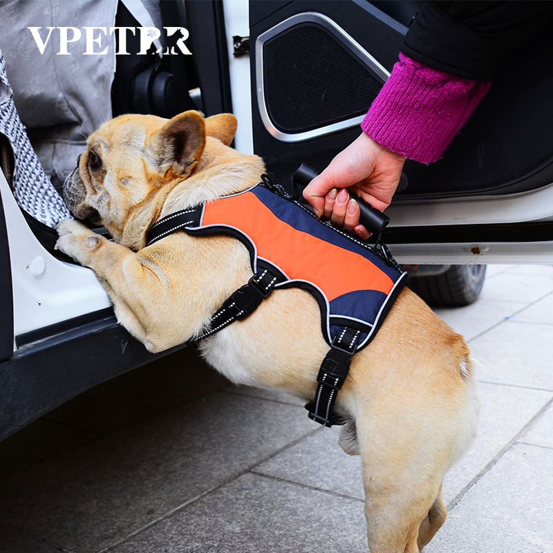 Alibaba Dog Clothes Wholesale Suppliers Waterproof Alibaba Dog - Main Image