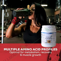 WELLBODY OEM produit des suppléments de protéines de lactosérum pour la prise de masse musculaire, enrichis en acides aminés multi-nutriments, pour les bodybuilders, avec logo personnalisé.