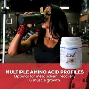 WELLBODY OEM logo Spot vücut geliştirme 'çok besleyici Amino asit kilo kazanç takviyesi kas büyümesi üretir peynir altı suyu Protein tozu - Product Image 6