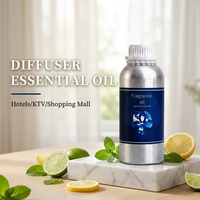 Huile essentielle de menthe fraîche, huile parfumée pour diffuseur d'arômes, huile de recharge parfumée à la menthe pour diffuseur, aromathérapie pour la maison et le bureau