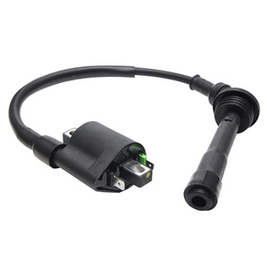 คอยล์จุดระเบิดรถจักรยานยนต์125-Ja1-1แรงดันสูงห่อราคาโรงงานสำหรับ <span class=keywords><strong>TRK251</strong></span>ของ <span class=keywords><strong>Benelli</strong></span> และสภาพ BJ250ใหม่ - Product Image 2