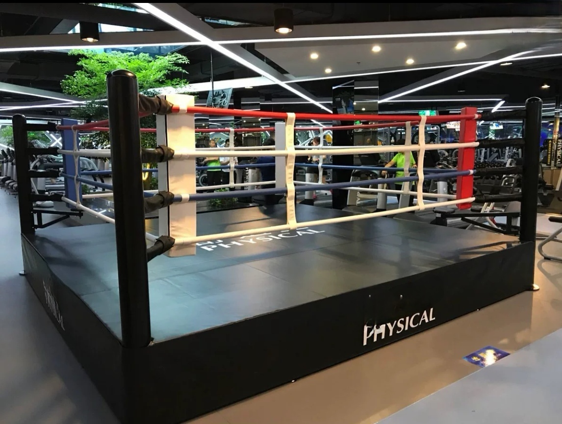Boxing Ringside Fans Boxing Ring Pic - Professional Heavy Duty Ring Setup
