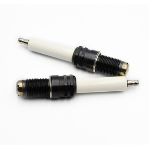 หัวเทียนแก๊สธรรมชาติความแม่นยำสูงจากผู้ผลิตดั้งเดิม รุ่น R6G12-77L สำหรับเครื่องยนต์ FL912 Guascor HGM560 พร้อมหัวเทียนอิริเดียมคู่แบบ L Gap - Product Image 2