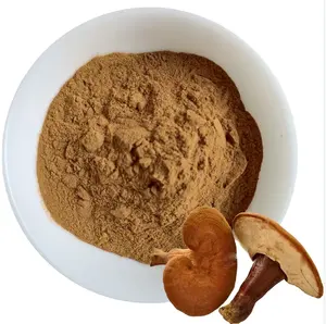 Serum pengurang kolesterol nilai obat bubuk ekstrak Jamur Reishi Ganoderma Lucidum polysaccharide dengan sampel gratis