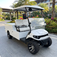 Voiture de transport électrique compacte à double freinage anti-roulis pour 2 personnes, idéale pour les trajets quotidiens courts et les clubs de golf