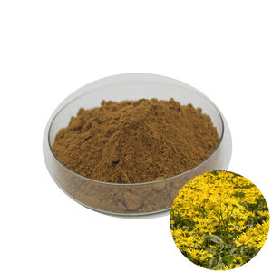 Kualitas Tinggi Ekstrak <span class=keywords><strong>Arnica</strong></span> Montana Bubuk <span class=keywords><strong>Arnica</strong></span> Montana Bubuk Bunga <span class=keywords><strong>Arnica</strong></span> Montana - Product Image 5