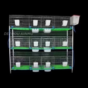 Cages à lapins de bonne qualité, galvanisées à chaud, à longue durée de vie, 12 positions, pour bébés lapins, à vendre - Product Image 4