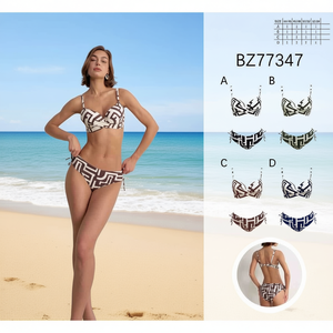 HDJ Ensemble de bikini grande taille imprimé géométrique, maillot de bain push-up amincissant pour femme, 2 pièces, tenue de plage BZ77347 - Product Image 2
