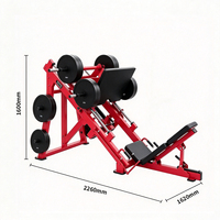 Freeman  Musculation Musculation 45 Degrés Jambe Presse Machine Ultra-Lisse Système De Roulement Linéaire Silencieux
