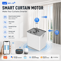 Rideau motorisé intelligent WiFi Tuya, commande vocale via application, compatible Alexa et Google, rideau électrique personnalisé pour fenêtre
