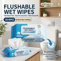 Lingettes humides jetables biodégradables, lingettes à base de plantes, lingettes de nettoyage jetables, fournisseur de logo personnalisé