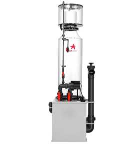 적용 가능한 수역: 10-20톤, 대형 해양 수족관 어항 외부 스키머 포함 레드 스타피쉬 - Product Image 5