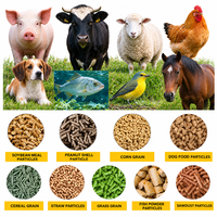 Machine à granulés d'aliments pour volailles Diesel, matrice plate 2,5-8 mm, pour poulets, canards, cailles, élevage, sans électricité