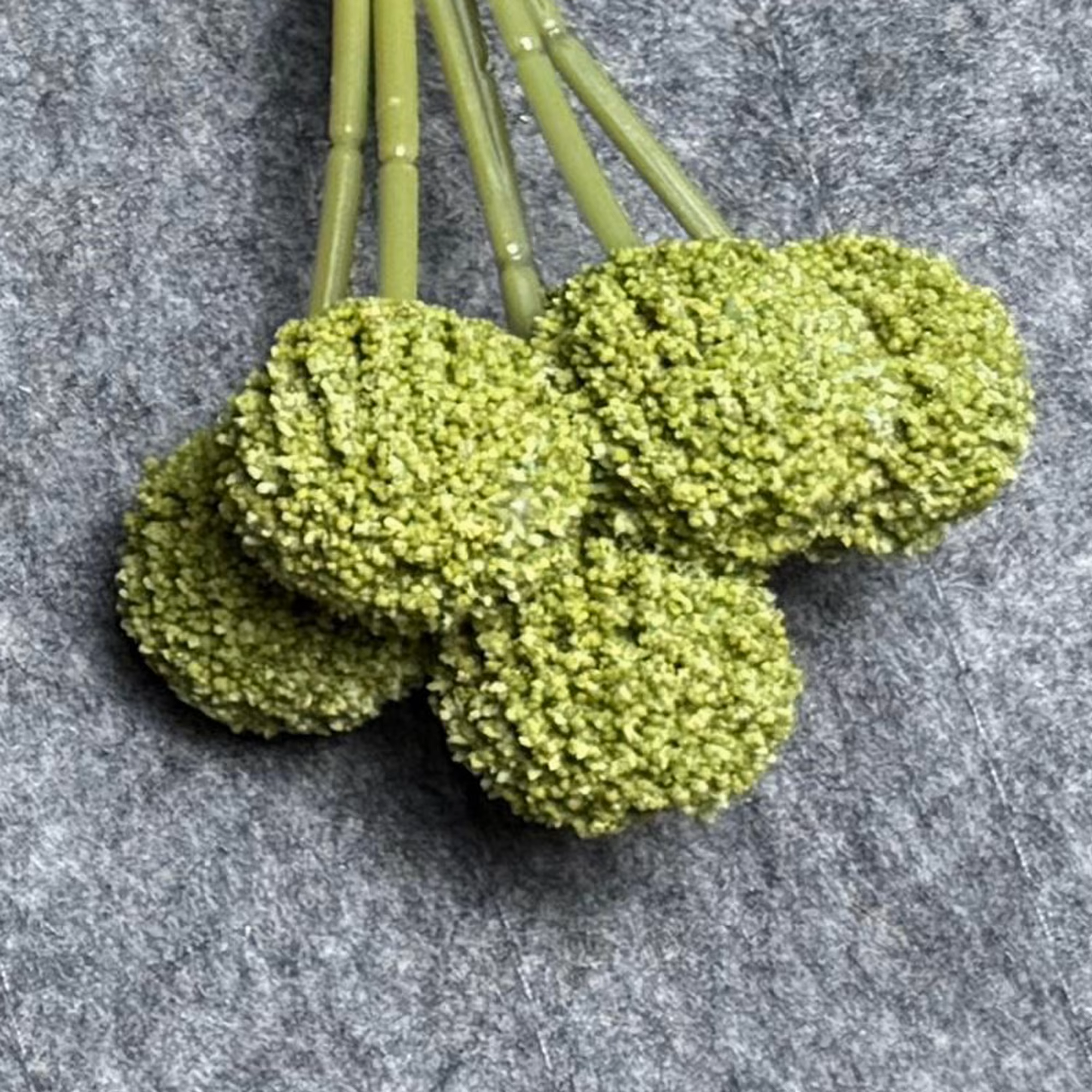 7 Stems 7 Heads 62cm Green