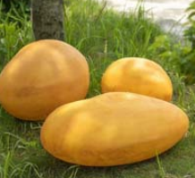 Luces LED Decorativas para Exteriores, Navidad y Halloween, Resistentes con Clasificación IP65 y Colores Personalizables - Product Image 1