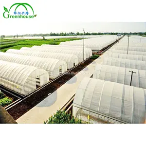 Best Selling Agriculture Tunnel Greenhouse Single-span PO Film Greenhouse for Farm