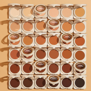 Aanpasbare Talkvrije Universele Face Matte Afwerking Poederpalet Natuurlijke Getinte Cosmetische Foundation