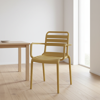 Chaise de salle à manger en plastique de style nordique, design simple avec accoudoirs, plusieurs couleurs, idéale pour l'intérieur, l'extérieur, la maison, le restaurant