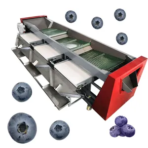 vegetable processing plant fruit blueberry sorting and grading machine
