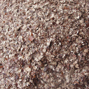 เปลือกเม็ดมะม่วงหิมพานต์ดิบราคาส่งถูกมากจากเวียดนาม ขนาด 8 มม. ยี่ห้อ GIA GIA NGUYEN อายุการเก็บรักษา 24 เดือน - Product Image 1