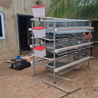 Cage à poules pondeuses de type H, 3 niveaux, 4 portes, pour l'élevage avicole – Équipement de pointe en promotion