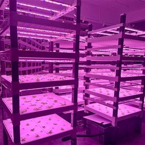 Système de culture hydroponique automatique à haute productivité pour légumes-feuilles en conteneur Skyplant Industrial - Énergie efficace - Product Image 2