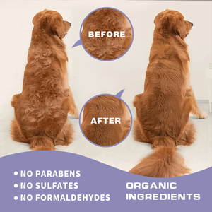 OEM ODM, shampooing hydratant naturel écologique <span class=keywords><strong>pour</strong></span> animaux de compagnie, soulage les démangeaisons de la peau sèche <span class=keywords><strong>pour</strong></span> chiens, nettoyage et toilettage - Product Image 6