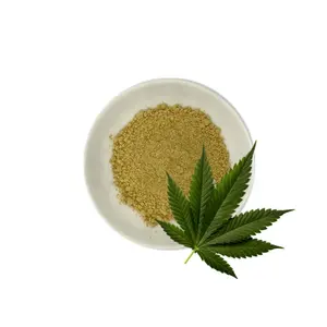 China Factory Supply Organic 100% Natural Hemp Seed Protein Powder Hemp Kernel Protein 60%