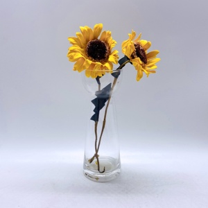 NOUVEAU <span class=keywords><strong>Vase</strong></span> <span class=keywords><strong>en</strong></span> <span class=keywords><strong>verre</strong></span> <span class=keywords><strong>jacinthe</strong></span> <span class=keywords><strong>vase</strong></span> vintage décoration d'intérieur - Product Image 6