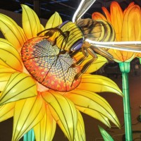 Linternas LED de Seda Chinas Impermeables con Formas de Plantas, Decoraciones para Festivales al Aire Libre, Halloween/Día de Acción de Gracias/Navidad/Año Nuevo
