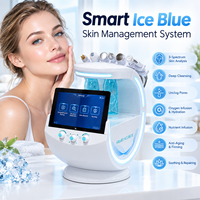 Meilleure machine de soin du visage Hydra Cleansing 7 en 1, Smart Ice Blue Hidrofacial, machine faciale multifonctionnelle