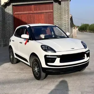 Custom Service 4 wheel cheap price high performance mini electric car new energy electric car for adults