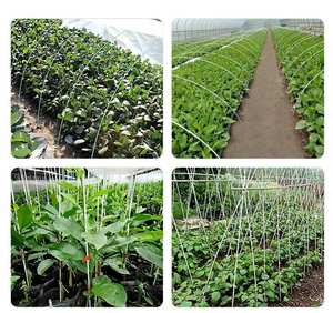 FRP <b>Rods</b> Fiberglass Reinforced <b>Plastic</b> <b>Rods</b> - Product Image 6