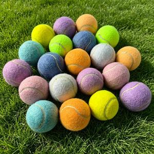 Pets Training Macaron Colored Lightweight Professional Training Tennis <b>Balls</b> 1.1m 1.35m Pet chew toys - Product Image 2