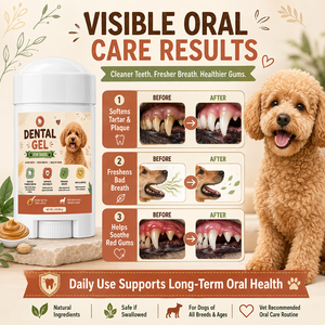 Dentifrice enzymatique personnalisé en gros <span class=keywords><strong>pour</strong></span> chiens et chats, gel dentifrice <span class=keywords><strong>pour</strong></span> toutes les races, contrôle la plaque dentaire, le tartre et la <span class=keywords><strong>mauvaise</strong></span> <span class=keywords><strong>haleine</strong></span> - Product Image 3