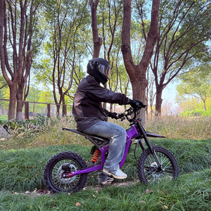 DOT Solid Aluminum Frame Full Suspension 72v Lithium Battery E Dirt <b>Bike</b> Ebike for <b>Teenagers</b> Students - Product Image 3