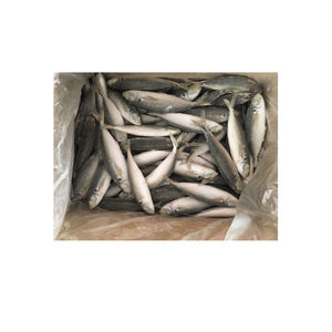 Китайская замороженная Конская скумбрия хорошего качества - Product Image 1
