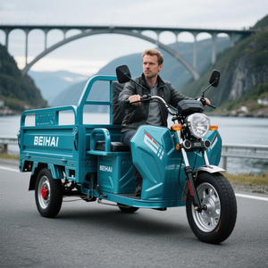 Forte capacità di carico dell'azienda agricola a tre ruote Cargo elettrico diretto in fabbrica - Product Image 2