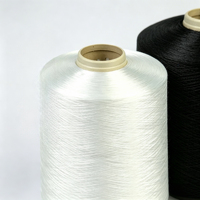 Fil torsadé en polyamide DTY-SD 100D/24F*2 100TPM