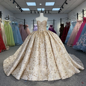 Robe de bal de luxe en mousseline Dy5995 pour Quinceañera, taille naturelle, appliques dorées brillantes, pour fête d'anniversaire formelle, traîne Watteau - Product Image 3