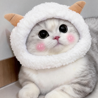 Chapeau pour chat, petit couvre-tête en laine pour animaux de compagnie, décoration pour petit chien, chapeau mignon en forme de mouton, accessoire magique pour la photographie