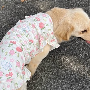 Mignon grand chien gilet été robe pour animaux de compagnie pour chiens moyens à grands, Golden Retriever, Labrador, Samoyède, vêtements de protection solaire minces - Product Image 6