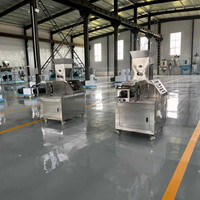 Ligne de production de snacks croustillants en acier inoxydable, prix usine, 45-55 kg/h, pour maïs, riz, blé, machine extrudeuse alimentaire