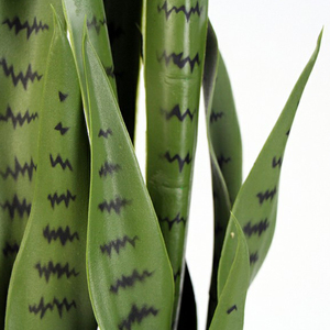 Alberi artificiali pianta serpente Sansevieria simulazione verde topiaria finta verde bosso decorazione per interni esterni decorazione per la casa - Product Image 6