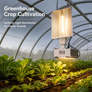 Lámpara de Cultivo Hortlight de <span class=keywords><strong>600W</strong></span> <span class=keywords><strong>HPS</strong></span>, 340V-420V, 100KHz, Súper Alta Frecuencia, Accesorio Electrónico para Cultivo Comercial de Flores - Product Image 6