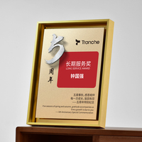 Plaque d'Honneur Métallique avec Logo en Relief, Nouveau Certificat Concessionnaire 2025, Plaques de Récompense Haut de Gamme en Aluminium