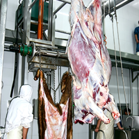 Équipement d'abattage automatique EME pour abattoir de buffles, ligne de production pour une ligne complète d'abattage de bovins