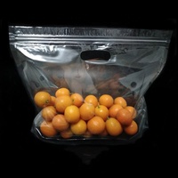 Sac plastique pp Micro perforé, recyclage des aliments frais, emballage de fruits et légumes