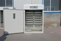 5000 automatique poulet solaire incubateur d'oeufs contrôle Intelligent volaille poulet écloserie Machine/oeuf incubateur écloserie